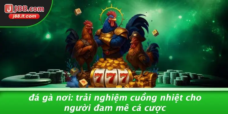 đá gà J88