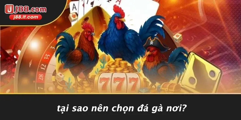 Tại Sao Nên Chọn Đá Gà J88?